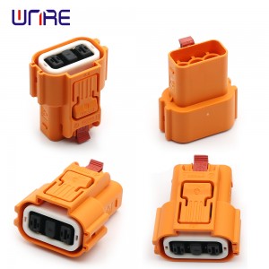 Two-pin plug